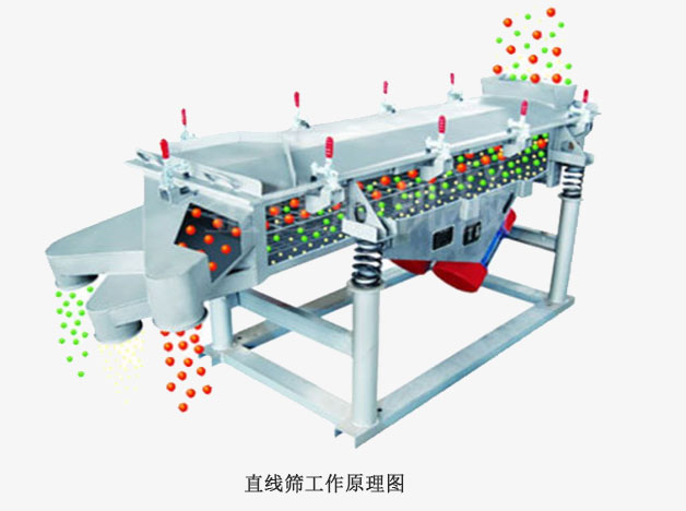 直線振動(dòng)篩.工作原理圖